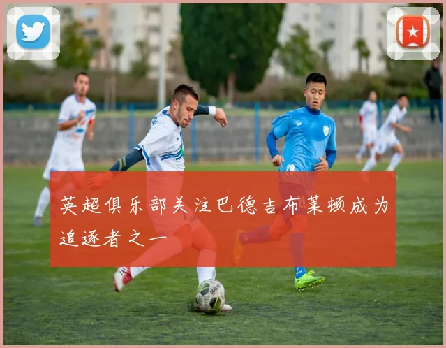 英超俱乐部关注巴德吉布莱顿成为追逐者之一